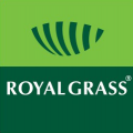 Royal Grass